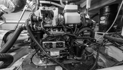 Gail’s Storm IV For Sale image95