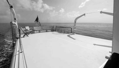 NEREUS For Sale image51