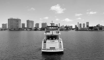 MILAMO For Sale image34