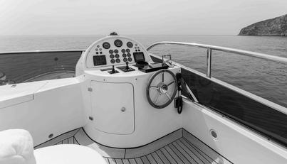 COCONUTS For Sale image24