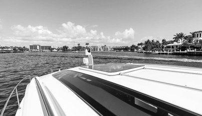 noname For Sale image16