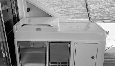 Bald Eagle For Sale image20