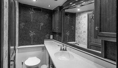 WILL RISE For Sale image58