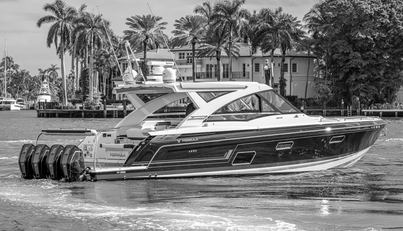 noname For Sale image1