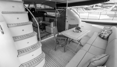 Enzo For Sale image14