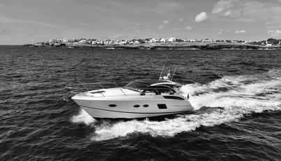 noname For Sale image1