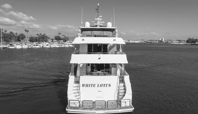 WHITE LOTUS For Sale image10