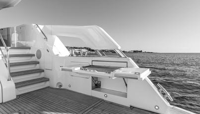 Aurelius For Sale image35