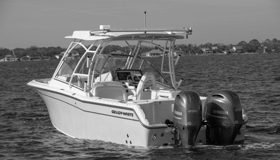 noname For Sale image4