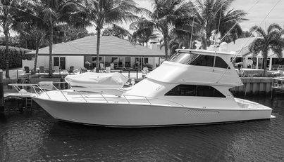 noname For Sale image1