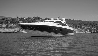 FROGGY For Sale image1