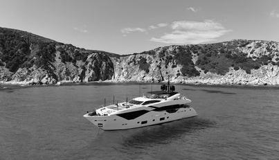 SURVIVOR 2 For Sale image33