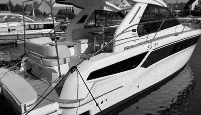 Knot Guilty For Sale image3