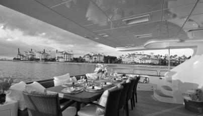 Amica For Sale image4