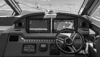 Bald Eagle For Sale image45