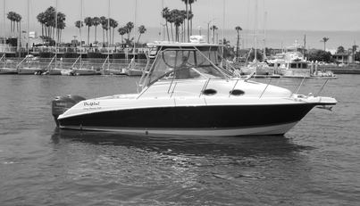 Delfini For Sale image2