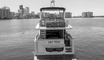 My Toy For Sale image13