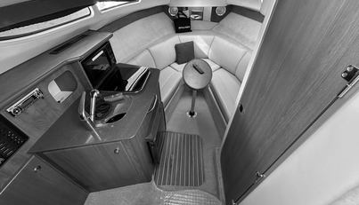 Mystique For Sale image24