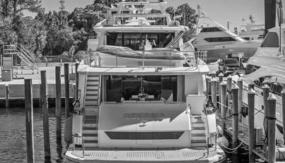 GENESIS For Sale image6