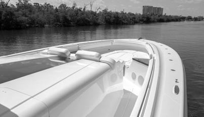 65 Estrella For Sale image29