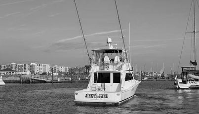 noname For Sale image10