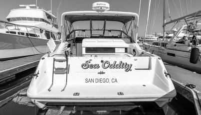 Sea Oddity For Sale image6