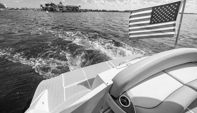 Gail’s Storm IV For Sale image29