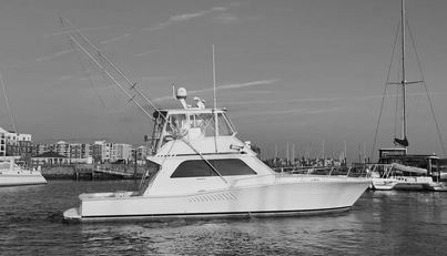 noname For Sale image1
