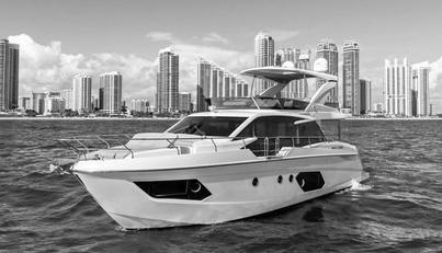 EMERALD For Sale image4