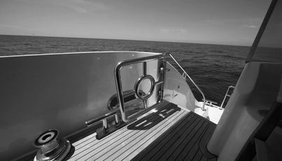 Southern Lady For Sale image22