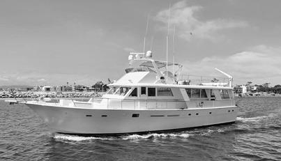 noname For Sale image1