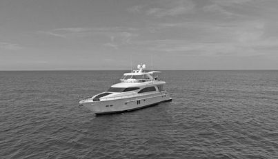 Southern Lady For Sale image5