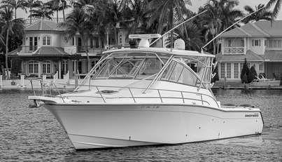 noname For Sale image4