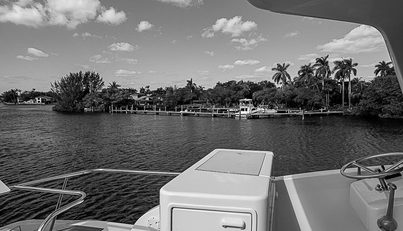 noname For Sale image55