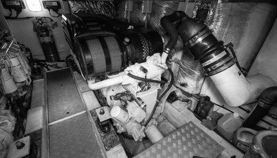 Enzo For Sale image109