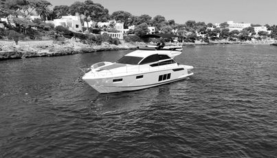 noname For Sale image29