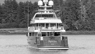 AVALON For Sale image5