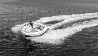 noname For Sale image7