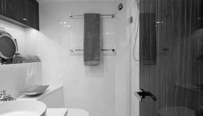 Greyhound For Sale image69