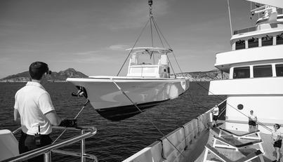 CUPANI For Sale image47