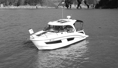 noname For Sale image8