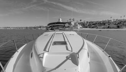 QUARANTINE For Sale image34