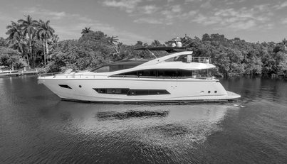 noname For Sale image1