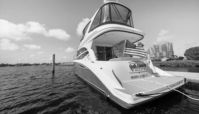 Gail’s Storm IV For Sale image82