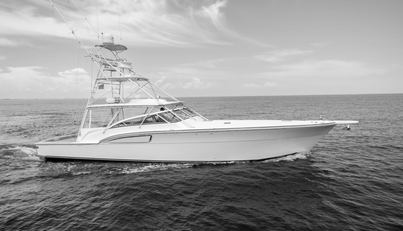 Reel Tycoon For Sale image2