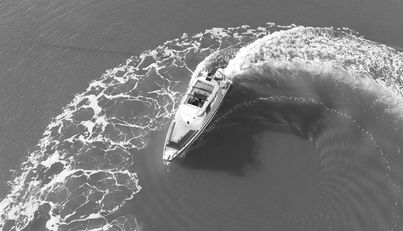 HAYLU For Sale image8