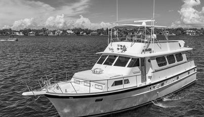 noname For Sale image2