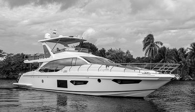 Evado For Sale image1