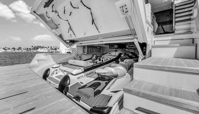 AURORA For Sale image14