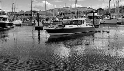 Endless Fun For Sale image4